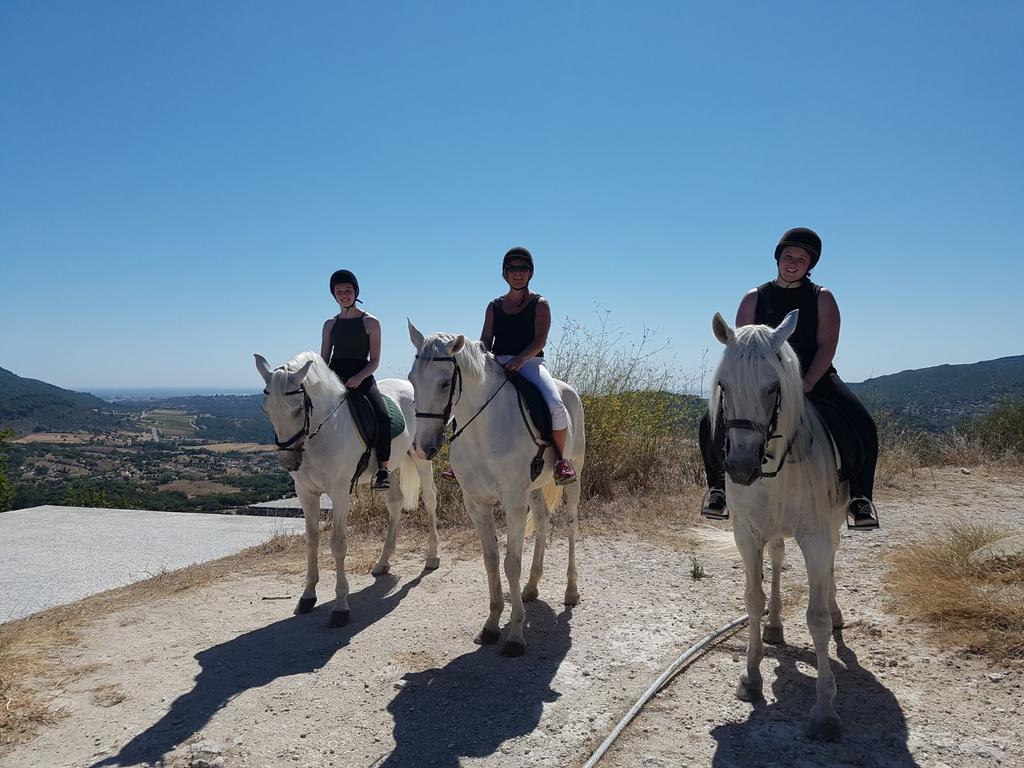 Arrabida Heritage @Portugal Luxury Retreat Guest House อาเซย์เตา ภายนอก รูปภาพ