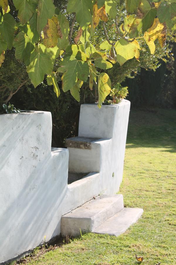 Arrabida Heritage @Portugal Luxury Retreat Guest House อาเซย์เตา ภายนอก รูปภาพ
